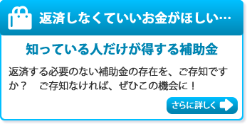 知っている人だけが得する補助金